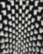 Live Sessions, Workshops, and Gatherings